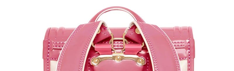 フルールグロスの背カン